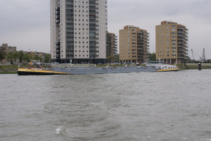Mts Nelson