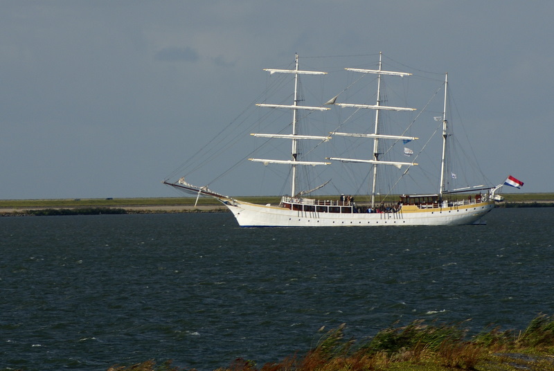 Plachetnice na Ijsselmeer